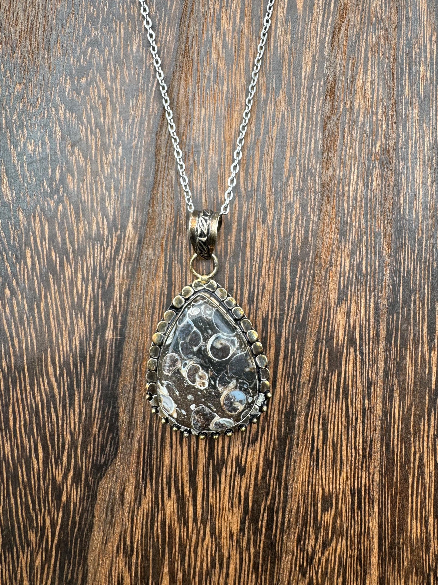 Turtella Jasper